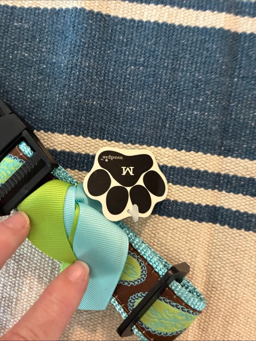Mud Pie Turquoise and Brown Paisley Dog Collar with Green Bow Accent